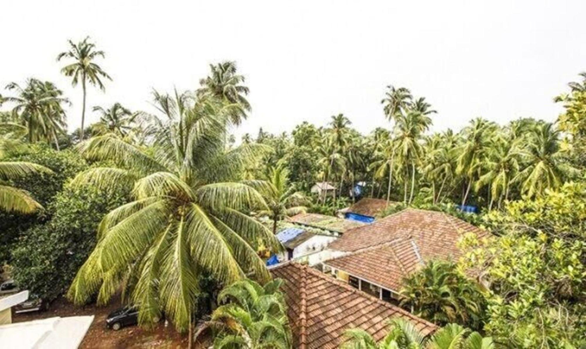 Fabexpress Orchid The Sky Hotel Calangute Eksteriør billede